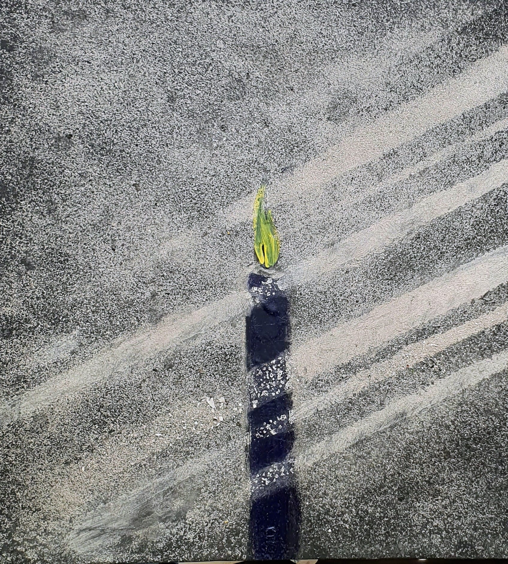 'Pray for PEACE' - 2025 - Ash & Oil on cavas